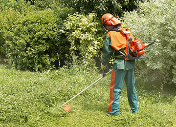 David Laurot Élagage - Entretien d'Espaces Verts & Maçonnerie Paysagère à Champigny-sur-Marne (94500) - Val-de-Marne 94