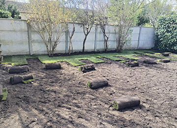 David Laurot Élagage - Entretien d'Espaces Verts & Maçonnerie Paysagère à Champigny-sur-Marne (94500) - Val-de-Marne 94