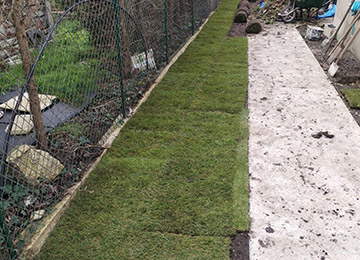 David Laurot Élagage - Entretien d'Espaces Verts & Maçonnerie Paysagère à Champigny-sur-Marne (94500) - Val-de-Marne 94