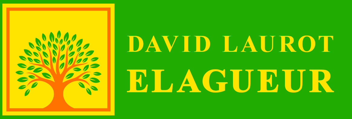 David Laurot Élagage - Entretien d'Espaces Verts & Maçonnerie Paysagère à Champigny-sur-Marne (94500) - Val-de-Marne 94