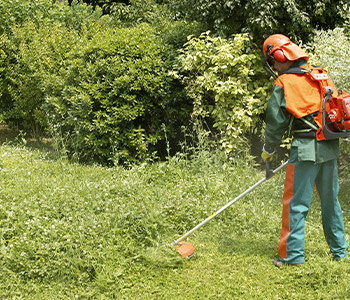 Debroussaillage de terrain à Champigny-sur-Marne (94500) dans le Val-de-Marne 94